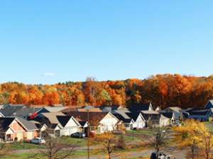 community in fall