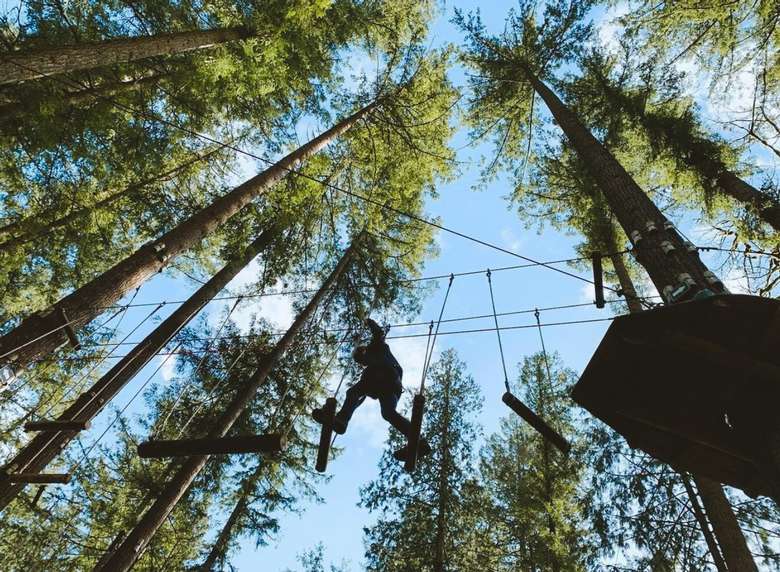 person walking across treetop obstacle