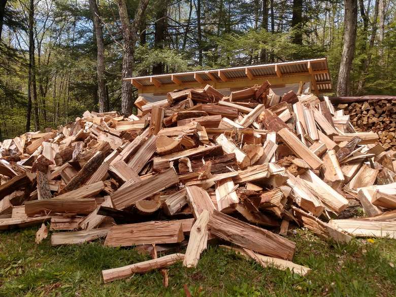 firewood on ground