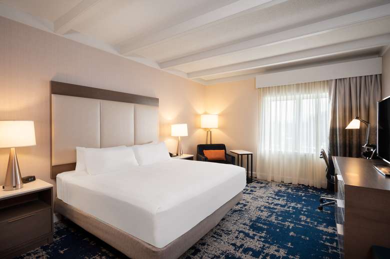 standard king guest room