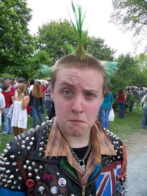 Green Mohawk At Albany Tulip Festival
