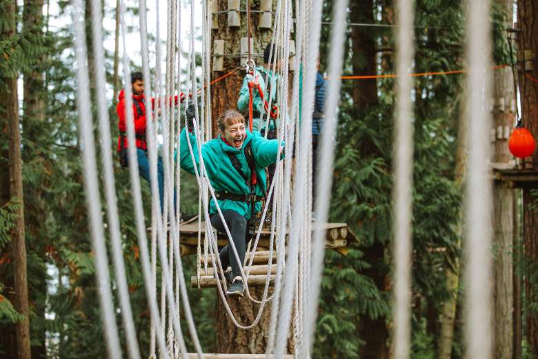 group of people exploring a treetop course