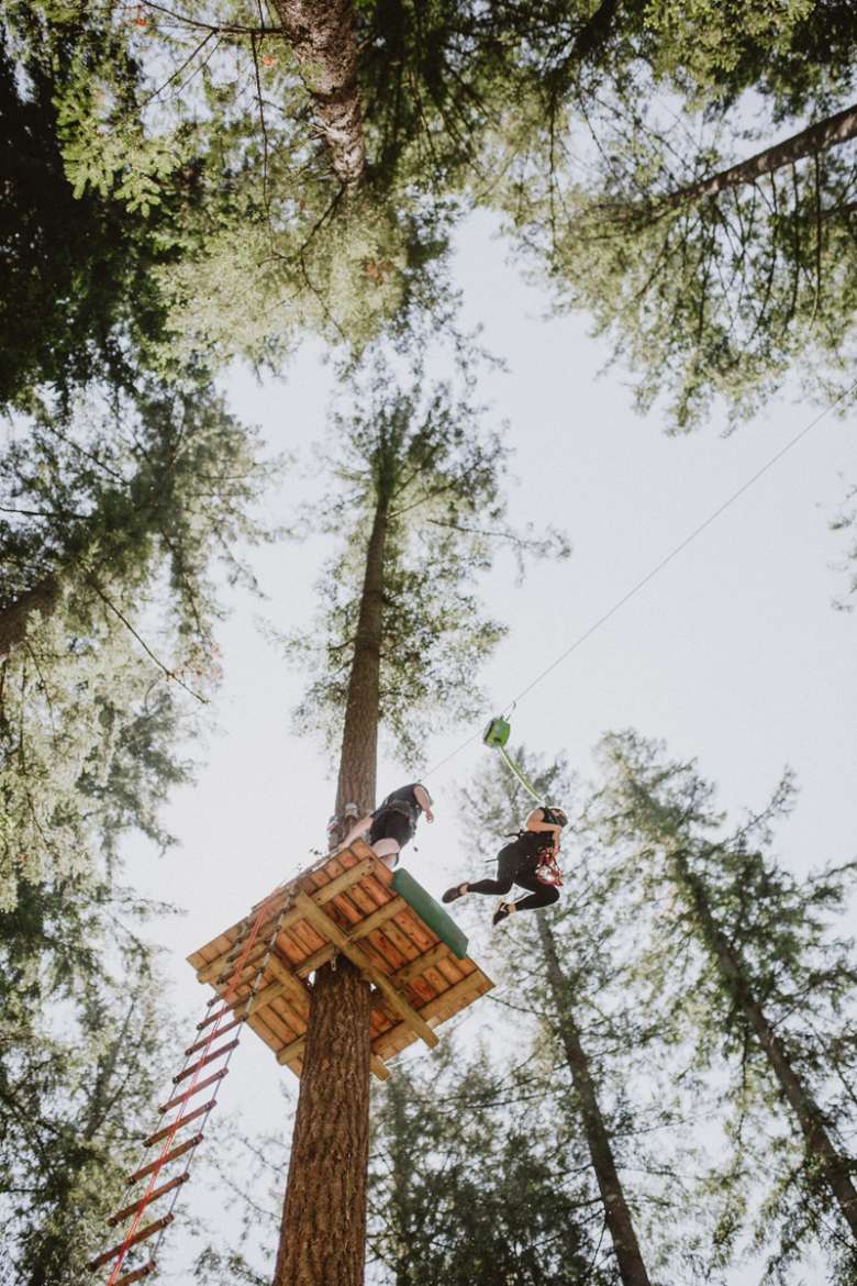 a high jump from the treetops